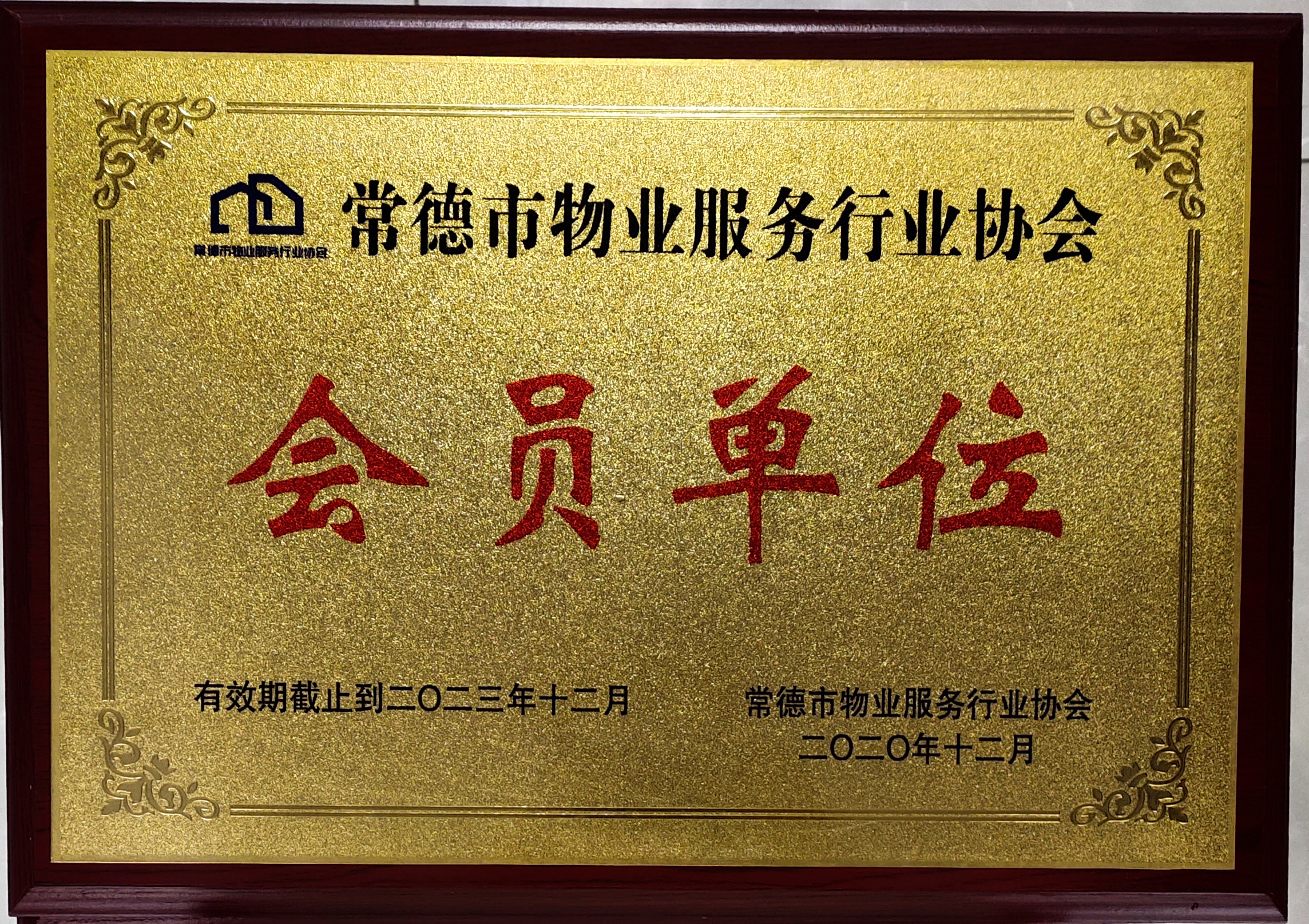 市物协会员单位